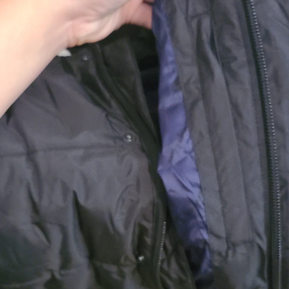 Champion Black Bomber Jacket with White Accents
